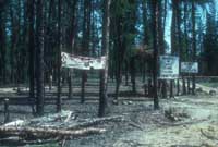 Signs for the international gathering, 1981.